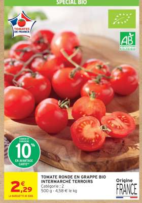 TOMATE RONDE EN GRAPPE BIO