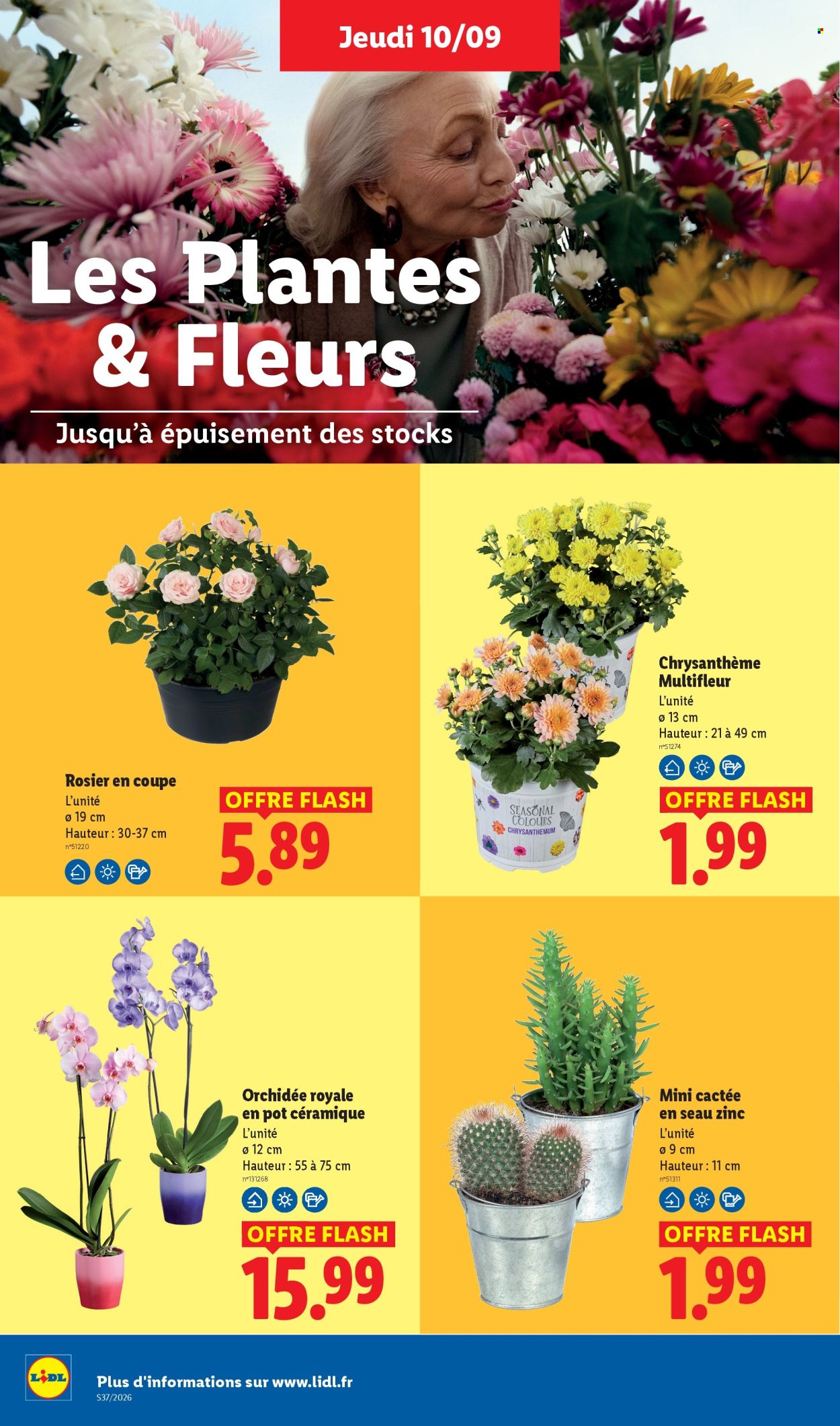 Catalogue Lidl - 10.09.2026 - 16.09.2026. Page 48