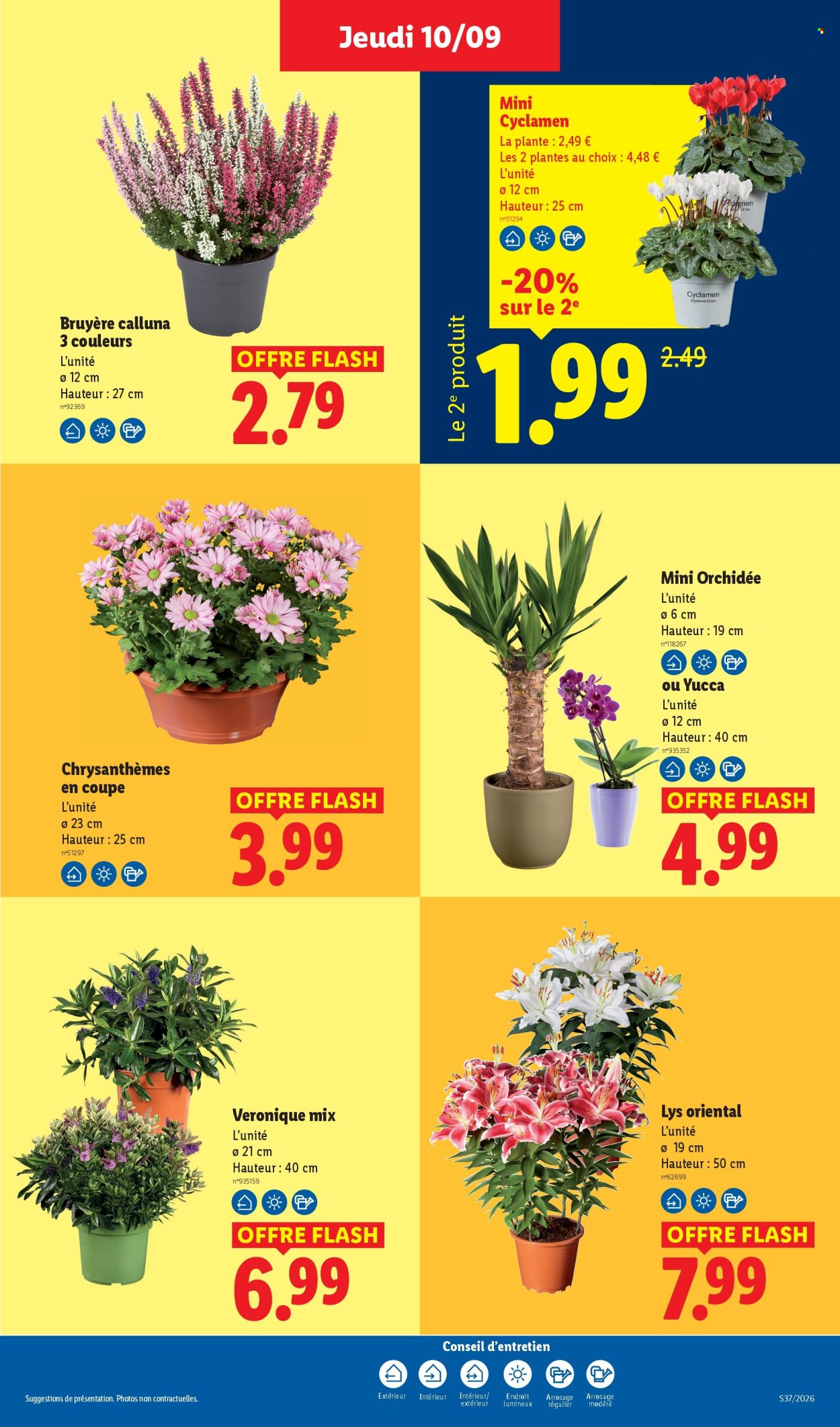 Catalogue Lidl - 10.09.2026 - 16.09.2026. Page 49