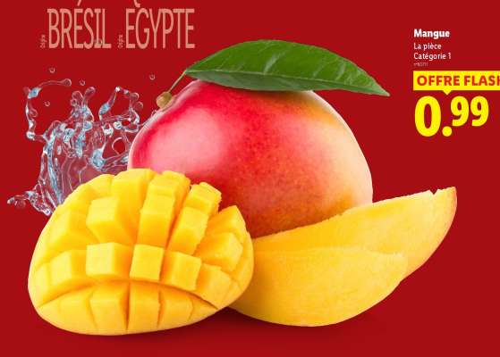 Mangue