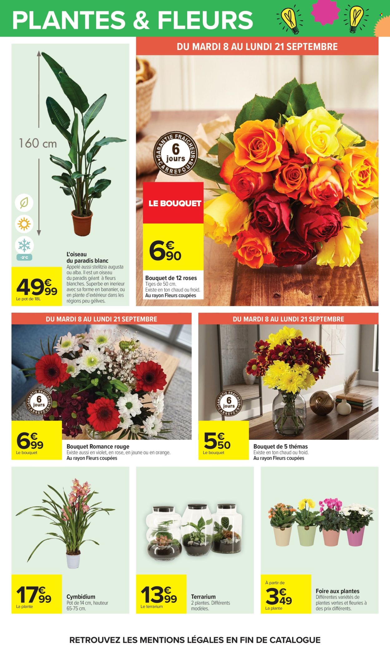 Catalogue Carrefour Hypermarchés - 08.09.2026 - 21.09.2026. Page 71