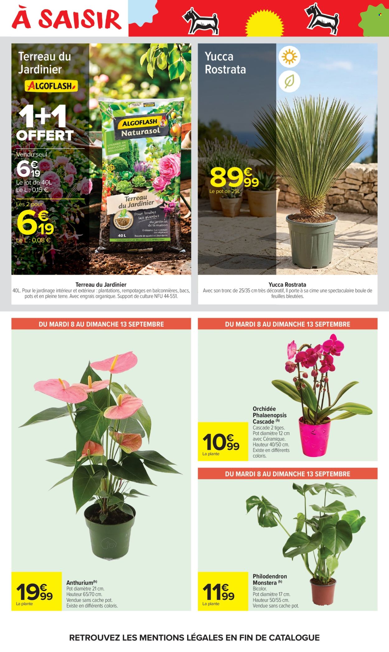 Catalogue Carrefour Market - 08.09.2026 - 20.09.2026. Page 52