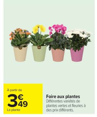 Foire aux plantes