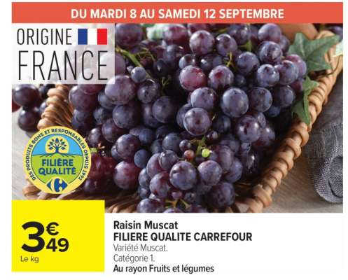 Raisin Muscat