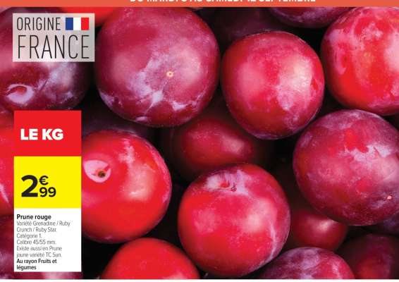 PRUNE ROUGE