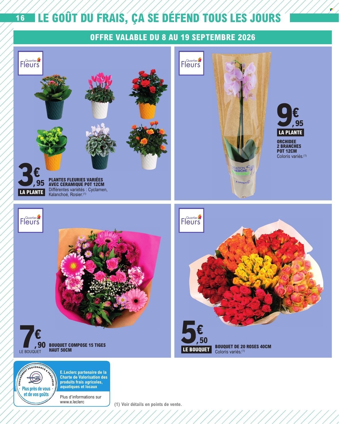 Catalogue E.Leclerc - 08.09.2026 - 19.09.2026. Page 16