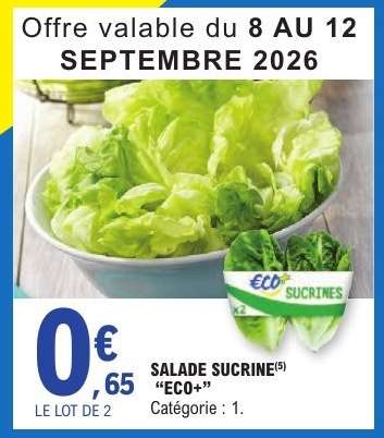 SALADE SUCRINE "ECO+"