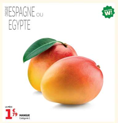 Mangue