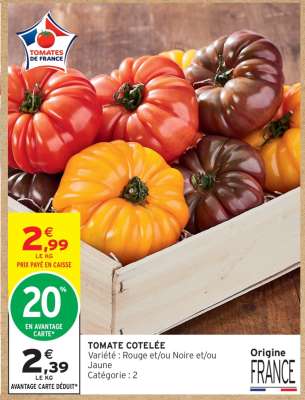 TOMATE COTELEE
