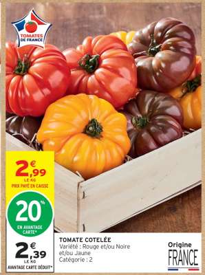TOMATE COTELEE