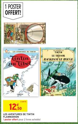 LES AVENTURES DE TINTIN FLAMMARION