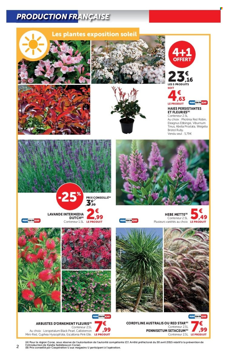 Catalogue SUPER U - 15.09.2026 - 27.09.2026. Page 2