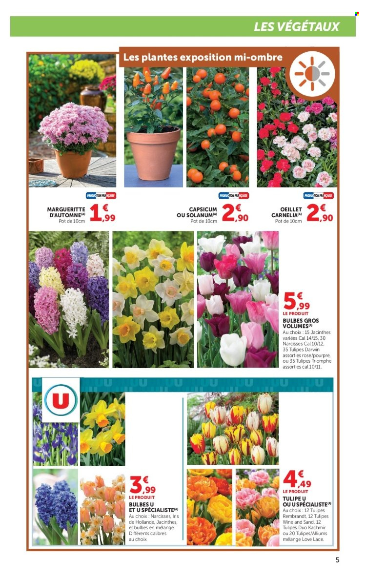Catalogue SUPER U - 15.09.2026 - 27.09.2026. Page 5