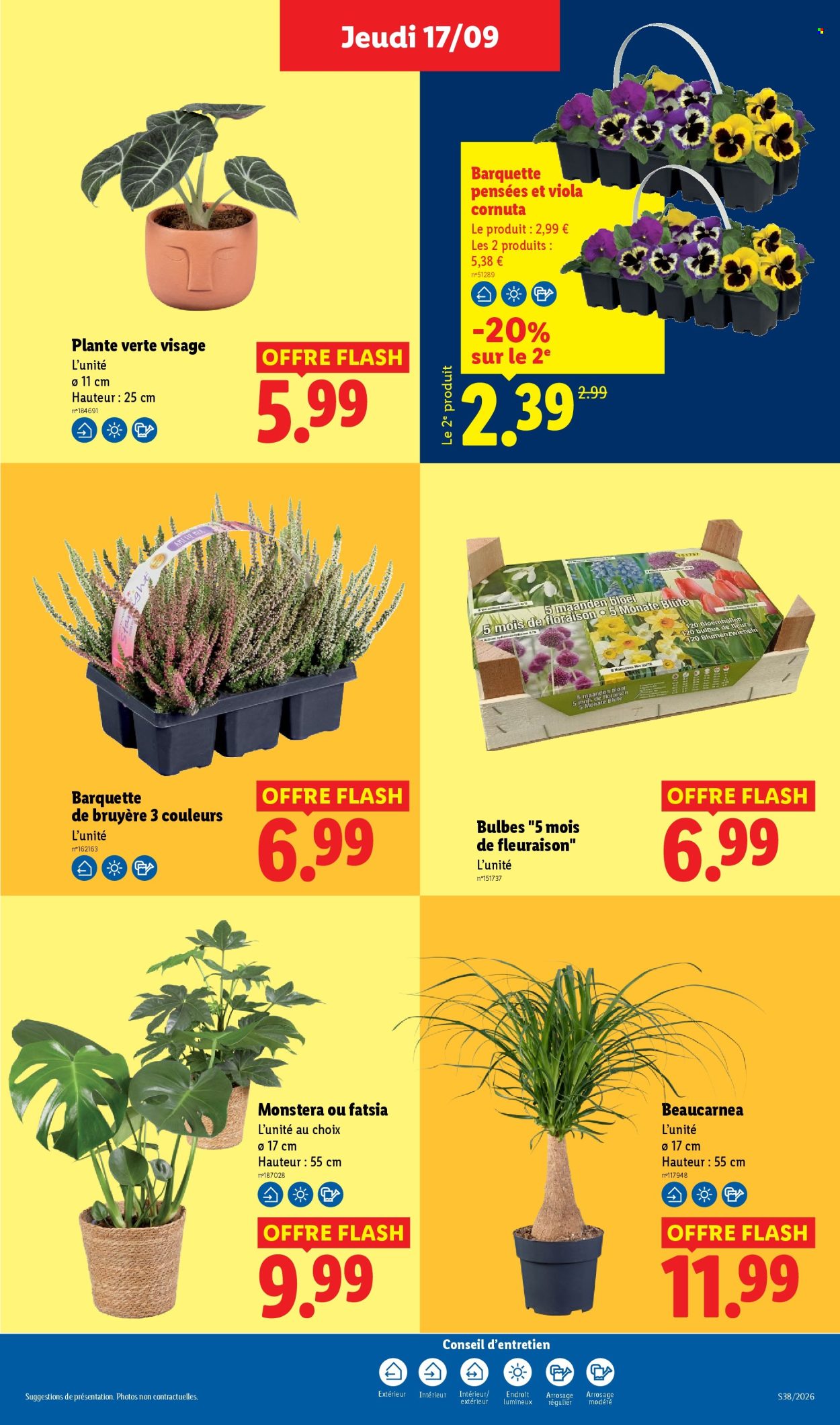 Catalogue Lidl - 17.09.2026 - 23.09.2026. Page 29