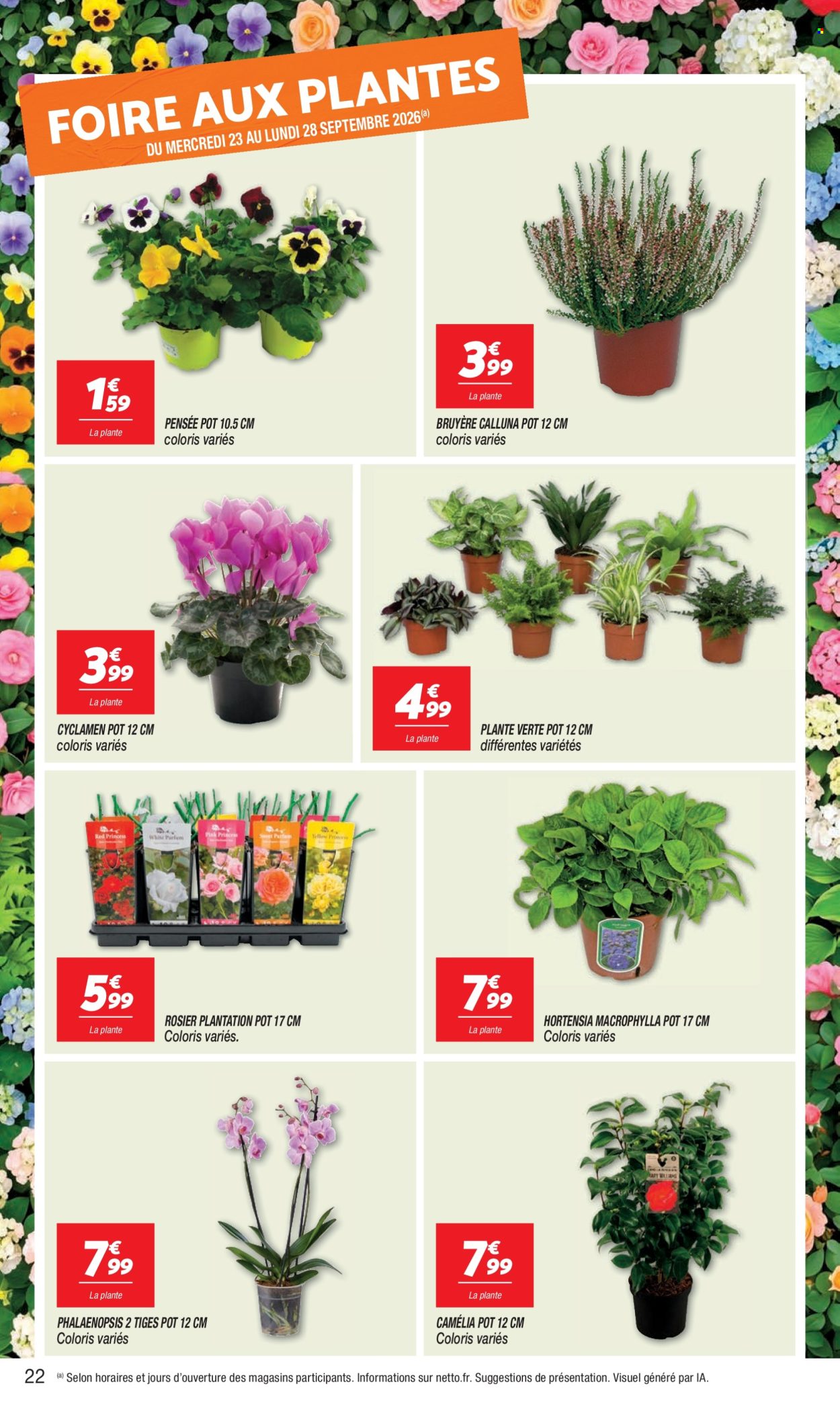 Catalogue Netto - 22.09.2026 - 28.09.2026. Page 22