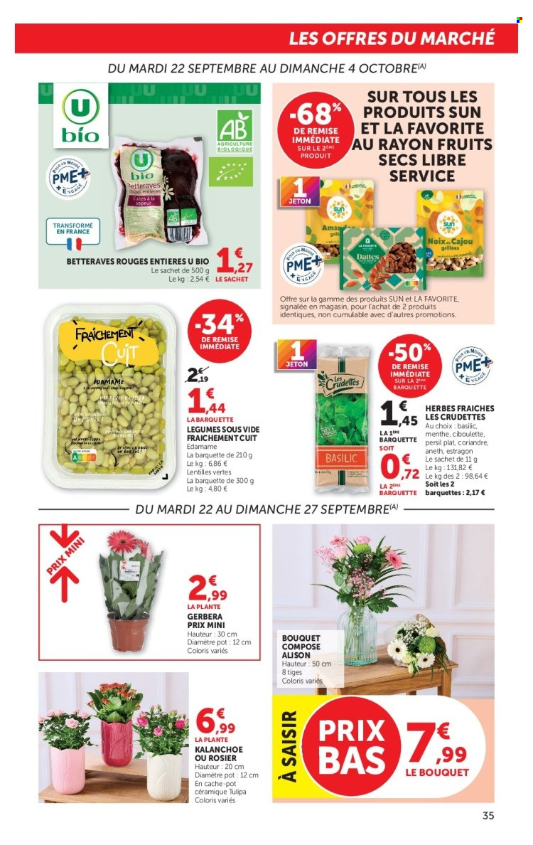 Catalogue HYPER U - 22.09.2026 - 04.10.2026. Page 35