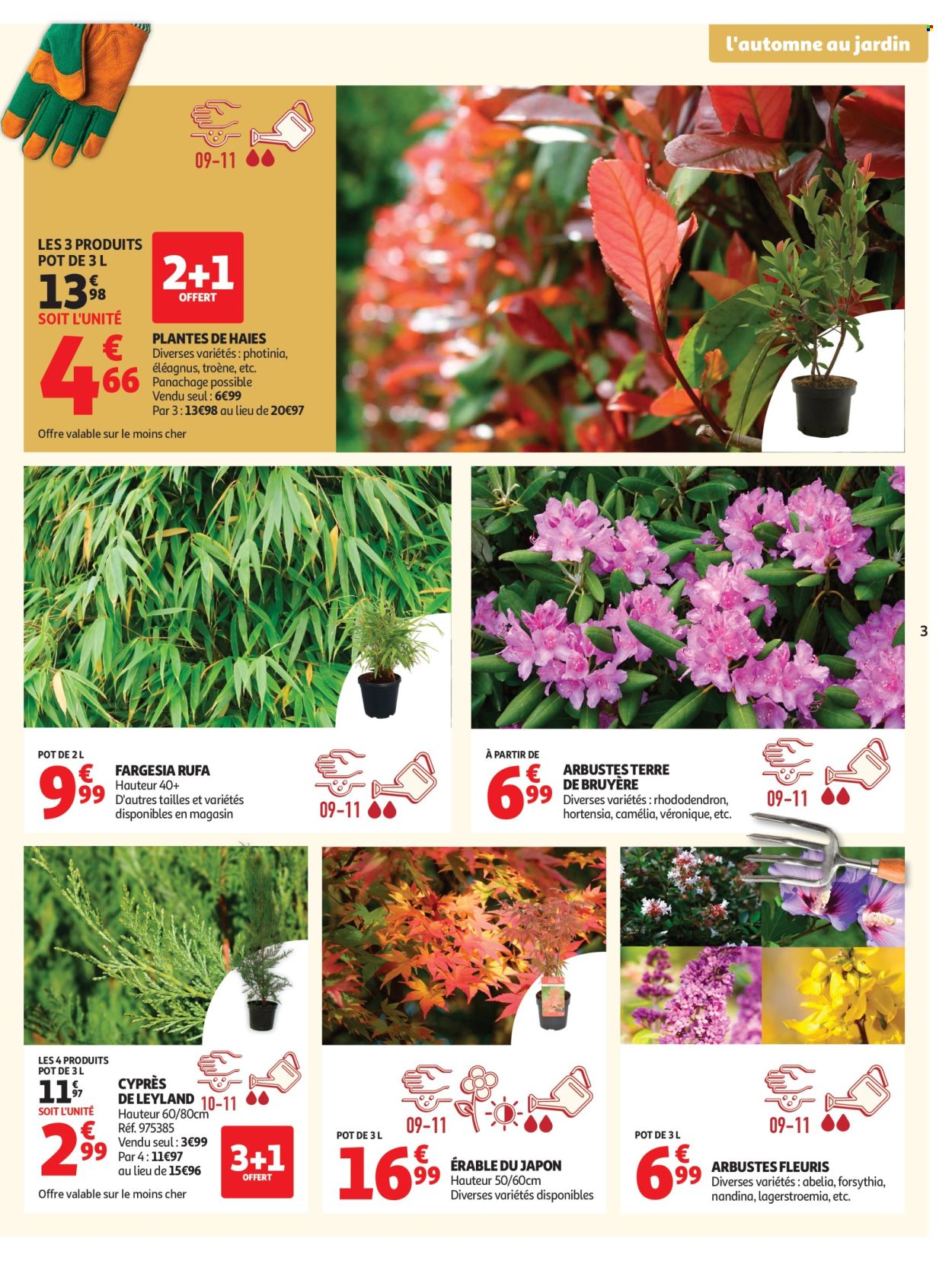 Catalogue Auchan - 22.09.2026 - 11.10.2026. Page 3