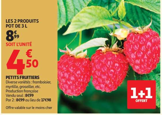 Petits Fruitiers