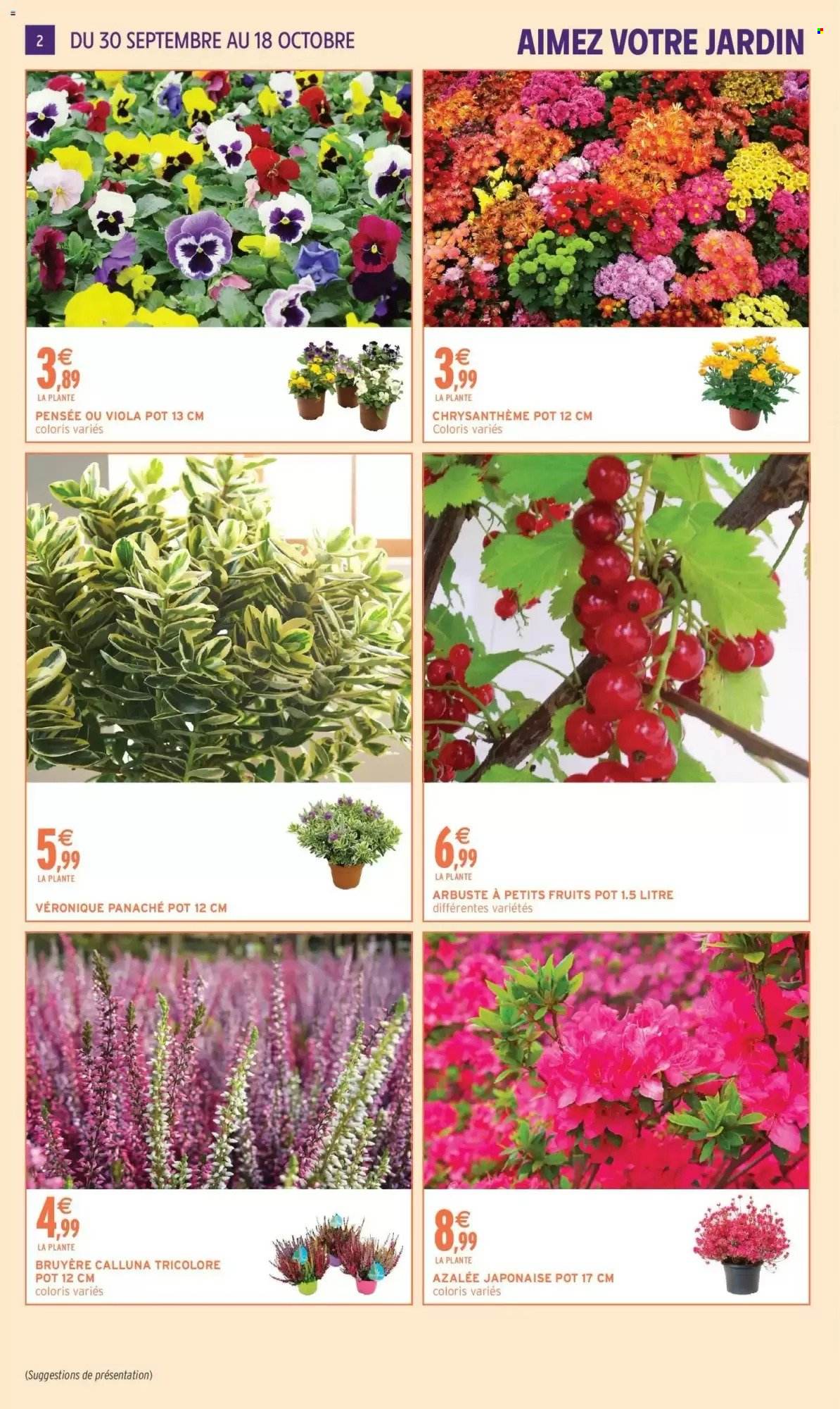 Catalogue Intermarché - 29.09.2026 - 18.10.2026. Page 2