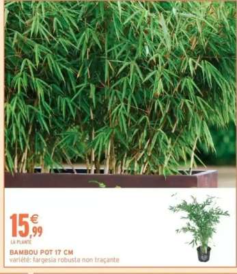 BAMBOU POT 17 CM