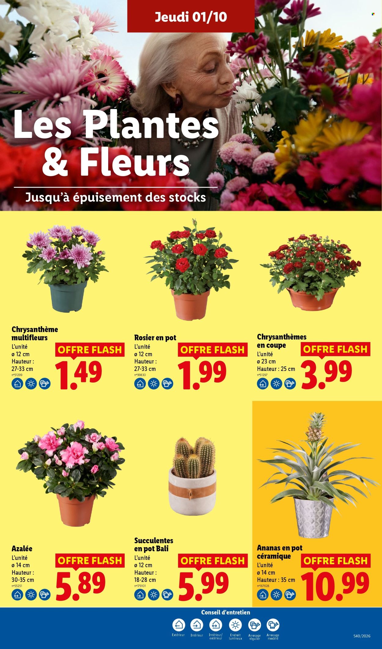 Catalogue Lidl - 01.10.2026 - 07.10.2026. Page 29