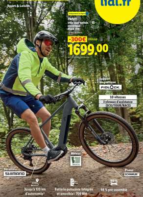 CRIVIT Vélo tout-terrain électrique PEAK 709