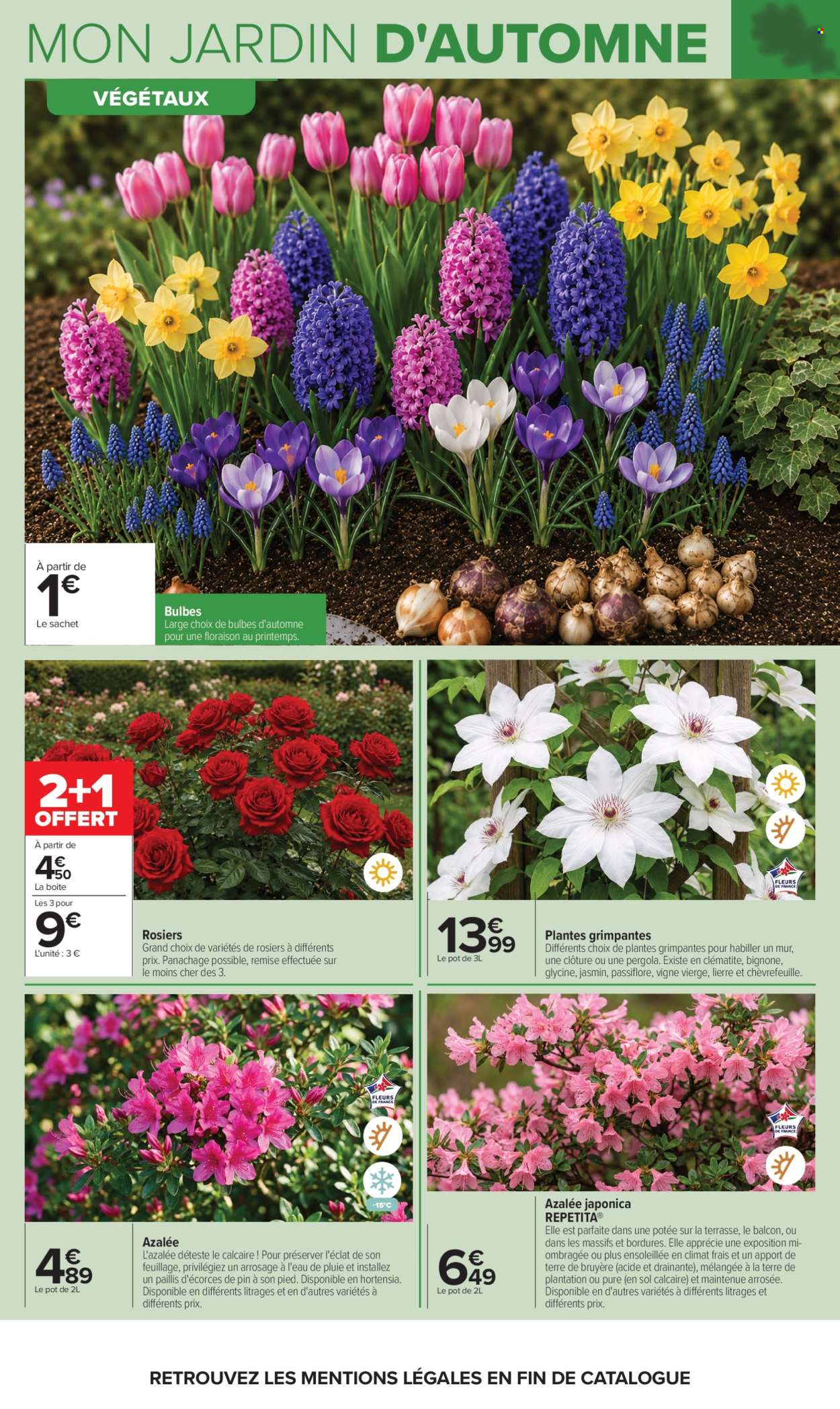 Catalogue Carrefour Hypermarchés - 29.09.2026 - 12.10.2026. Page 4