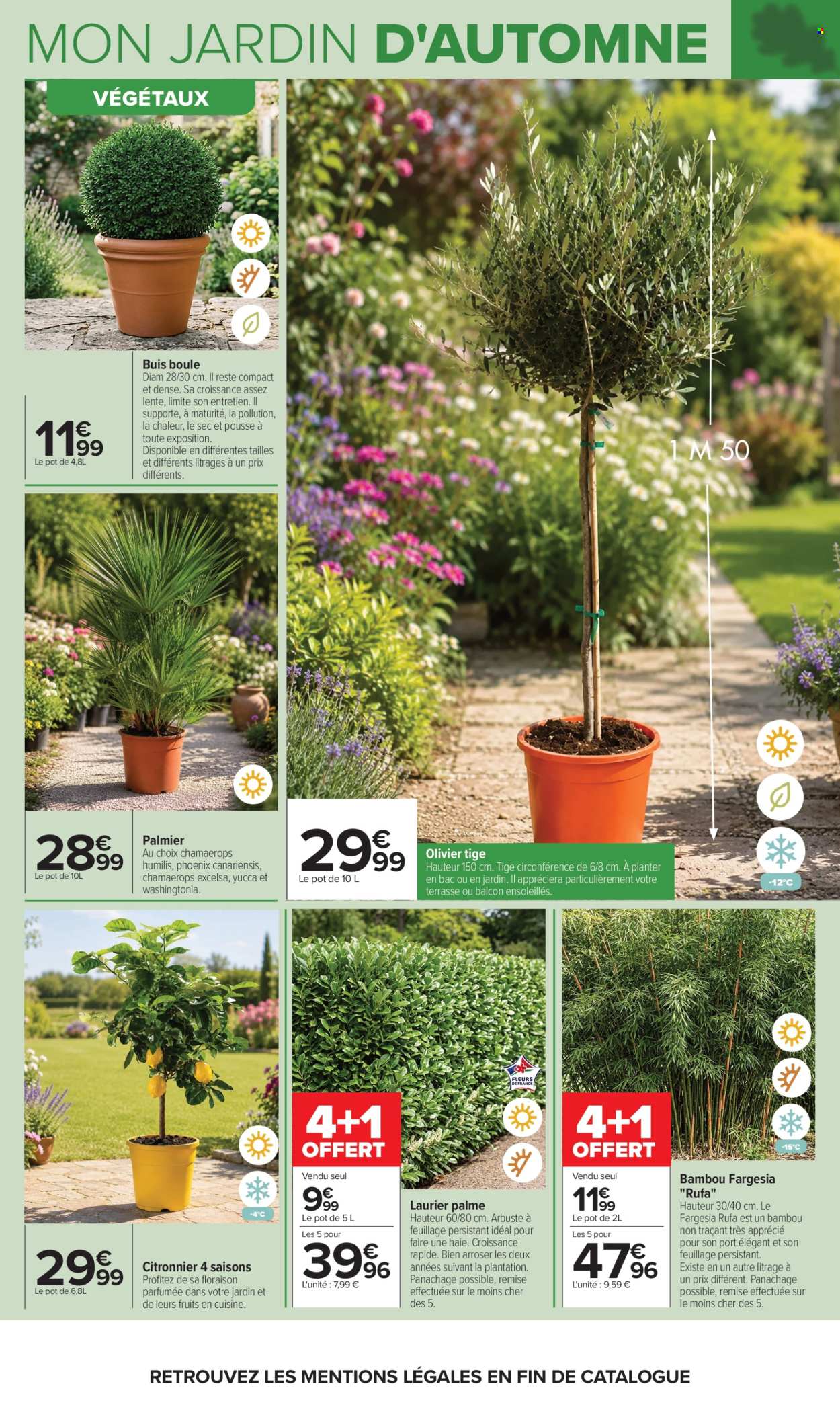 Catalogue Carrefour Hypermarchés - 29.09.2026 - 12.10.2026. Page 5