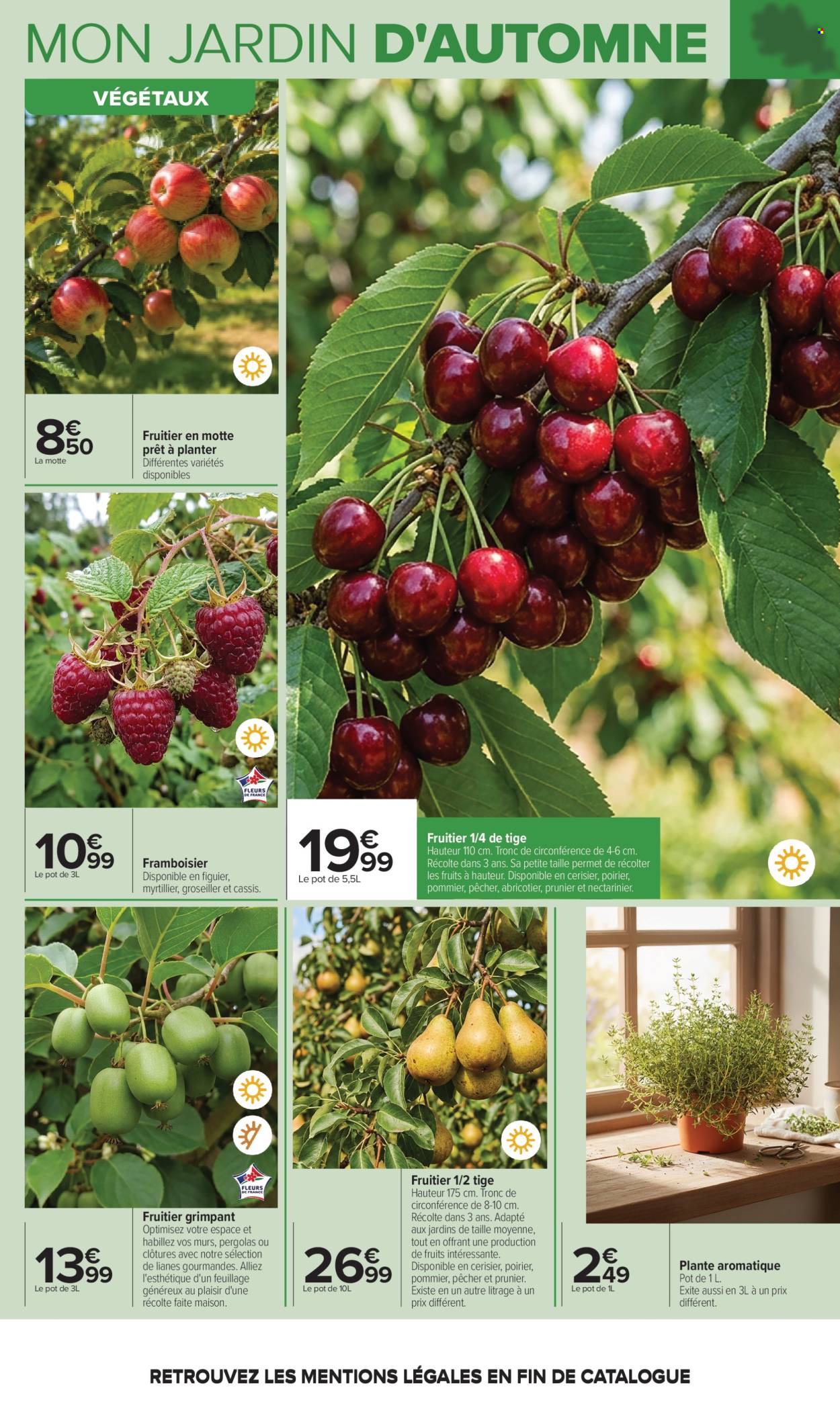Catalogue Carrefour Hypermarchés - 29.09.2026 - 12.10.2026. Page 6