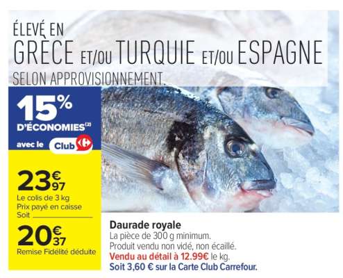 Daurade royale