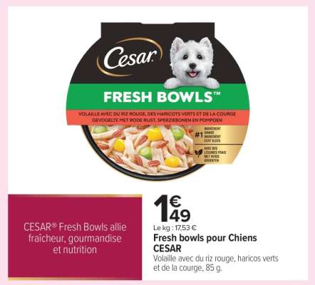 Fresh bowls pour Chiens CESAR
