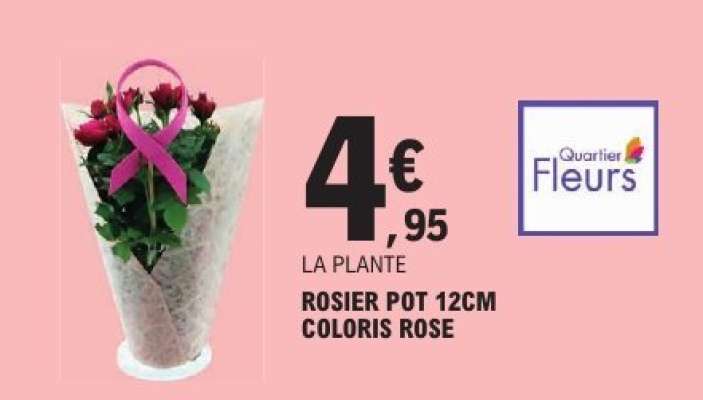 LA PLANTE