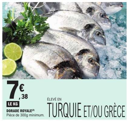 DORADE ROYALE