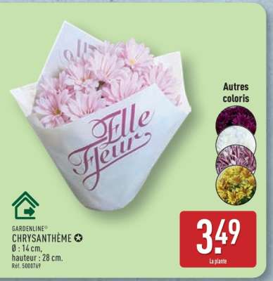 GARDENLINE® CHRYSANTHÈME
