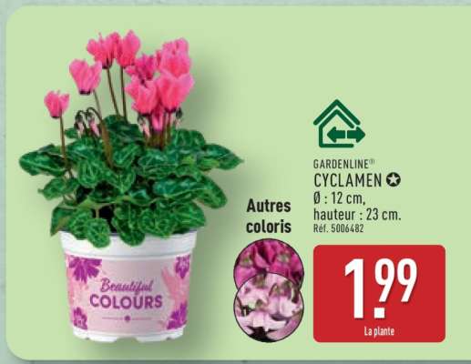 GARDENLINE® CYCLAMEN