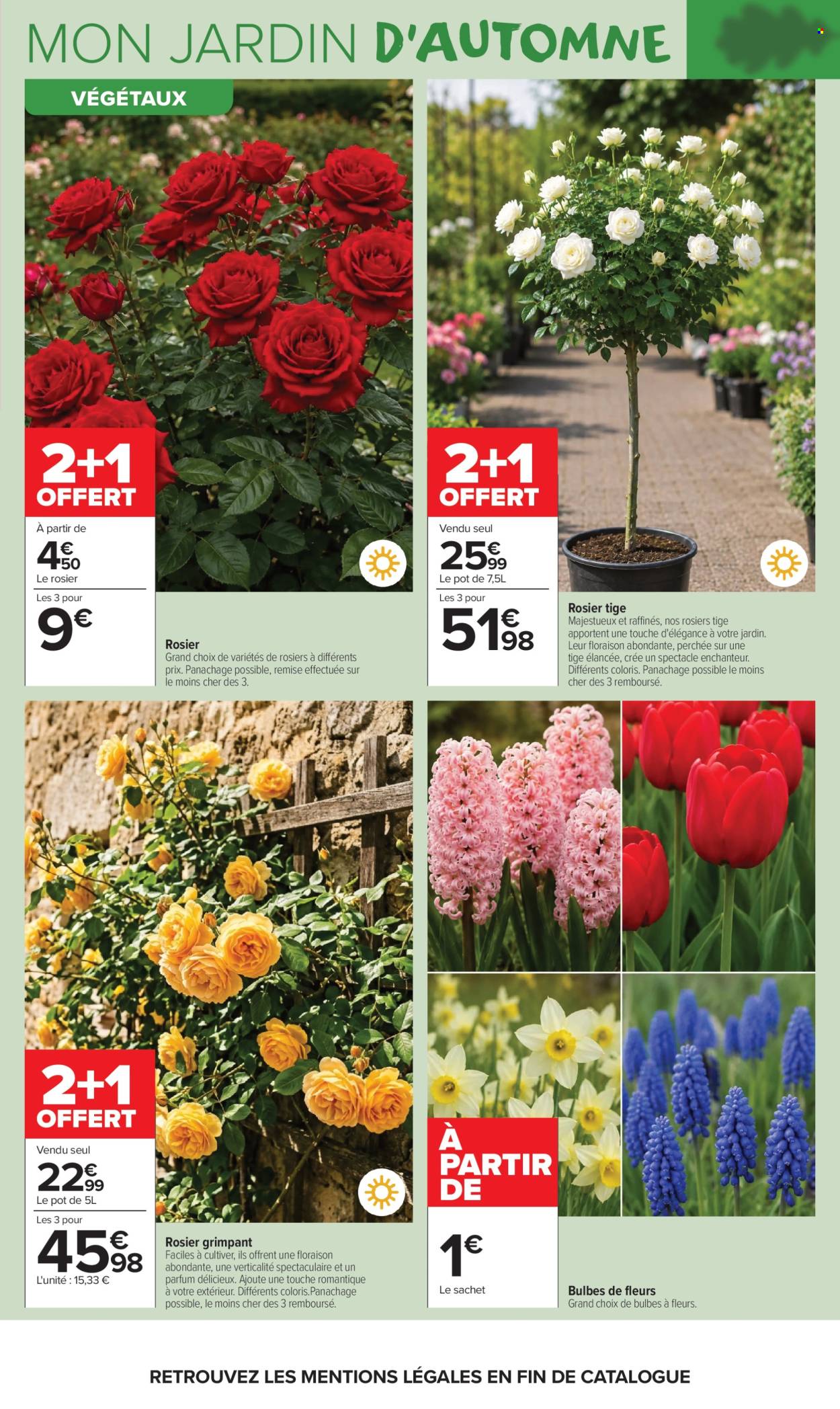 Catalogue Carrefour Market - 22.09.2026 - 11.10.2026. Page 3