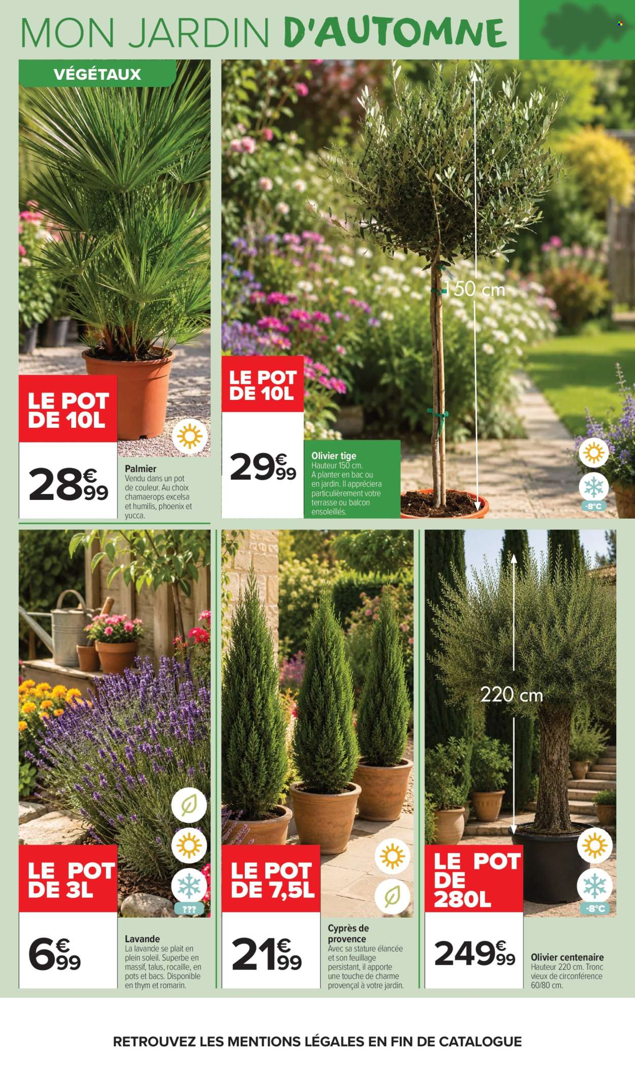 Catalogue Carrefour Market - 22.09.2026 - 11.10.2026. Page 4
