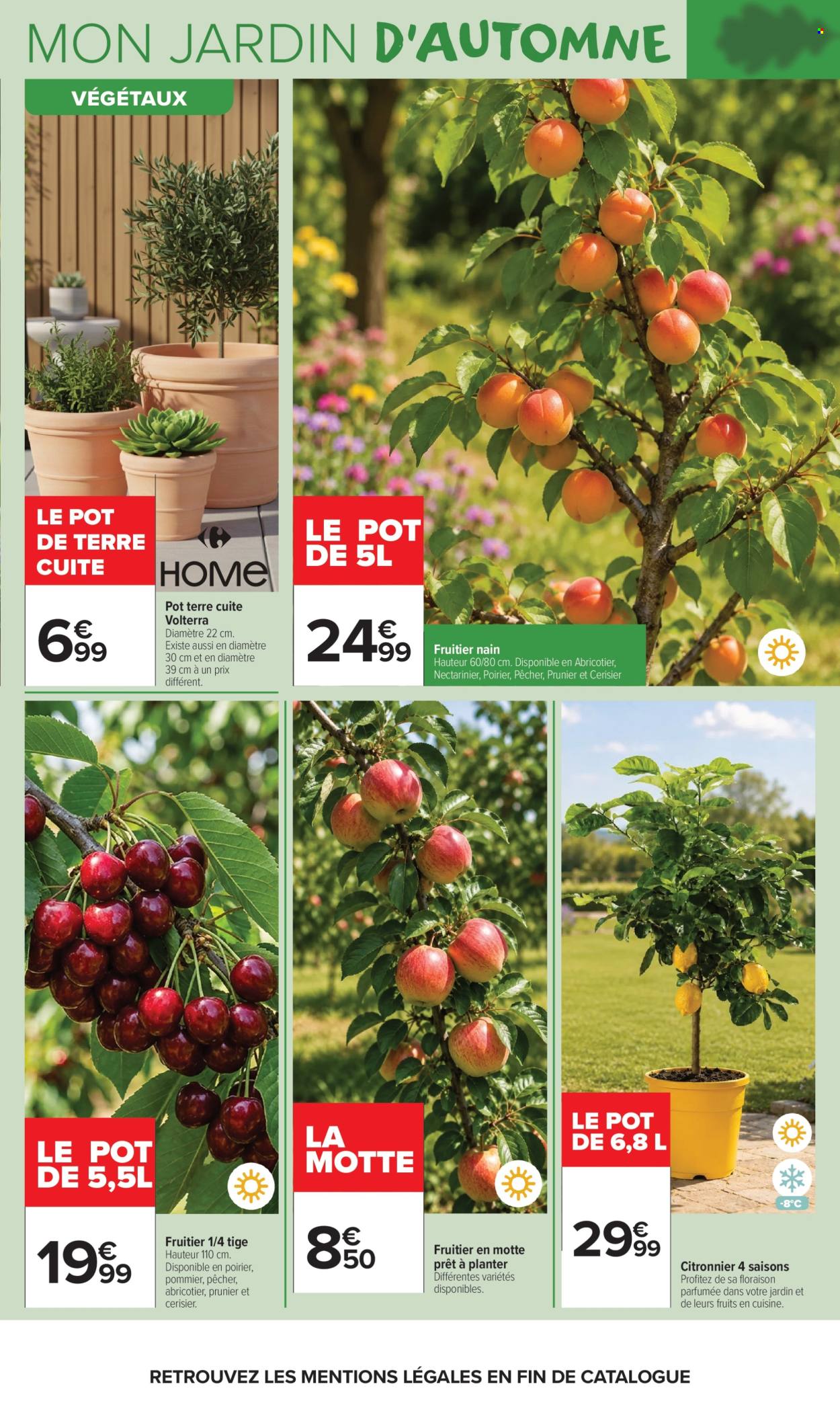 Catalogue Carrefour Market - 22.09.2026 - 11.10.2026. Page 5