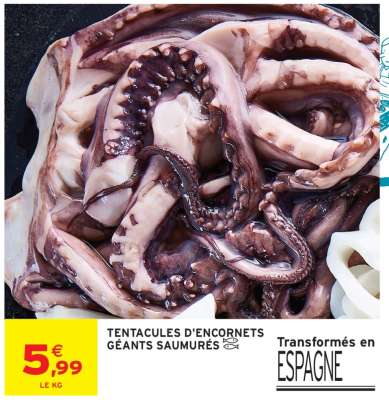 TENTACULES D'ENCORNETS GÉANTS SAUMURÉS
