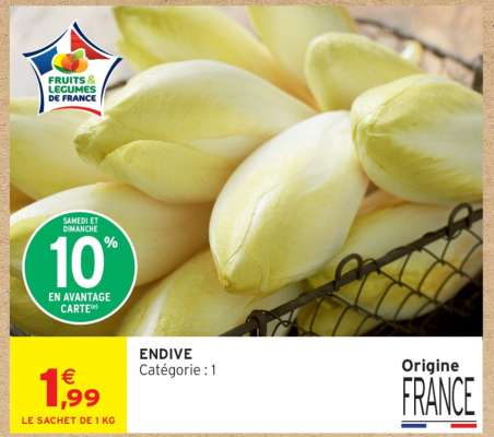 ENDIVE