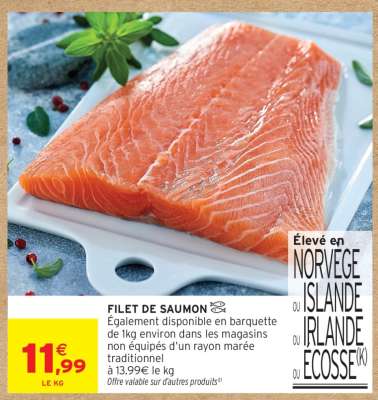 FILET DE SAUMON