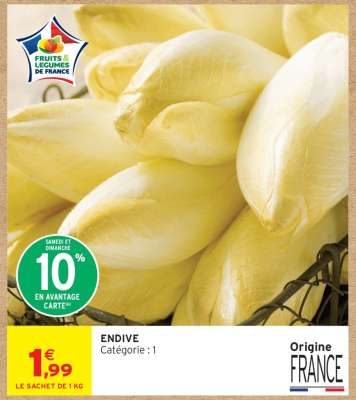 ENDIVE