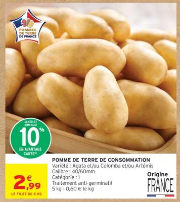 POMME DE TERRE DE CONSOMMATION