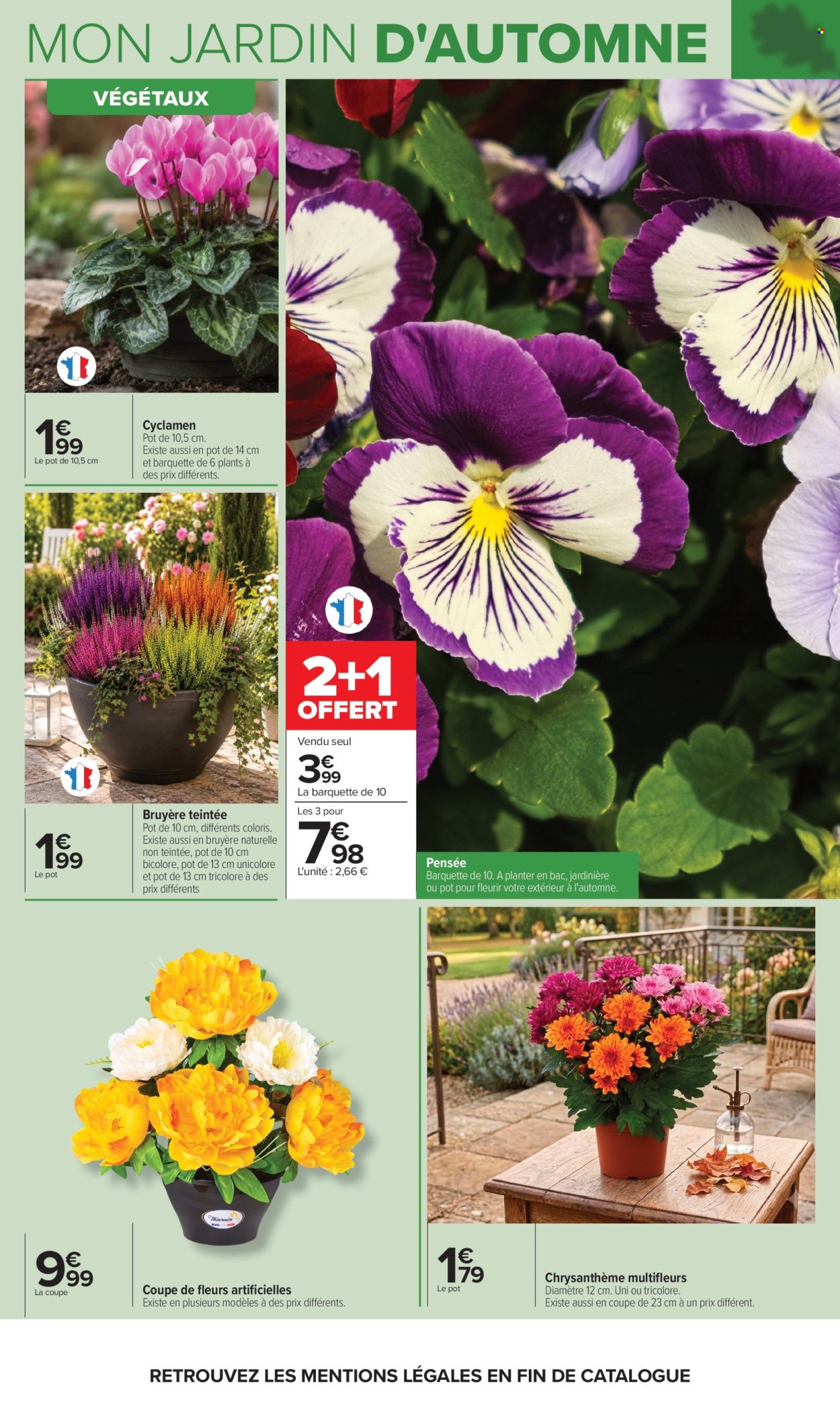 Catalogue Carrefour Hypermarchés - 29.09.2026 - 12.10.2026. Page 3