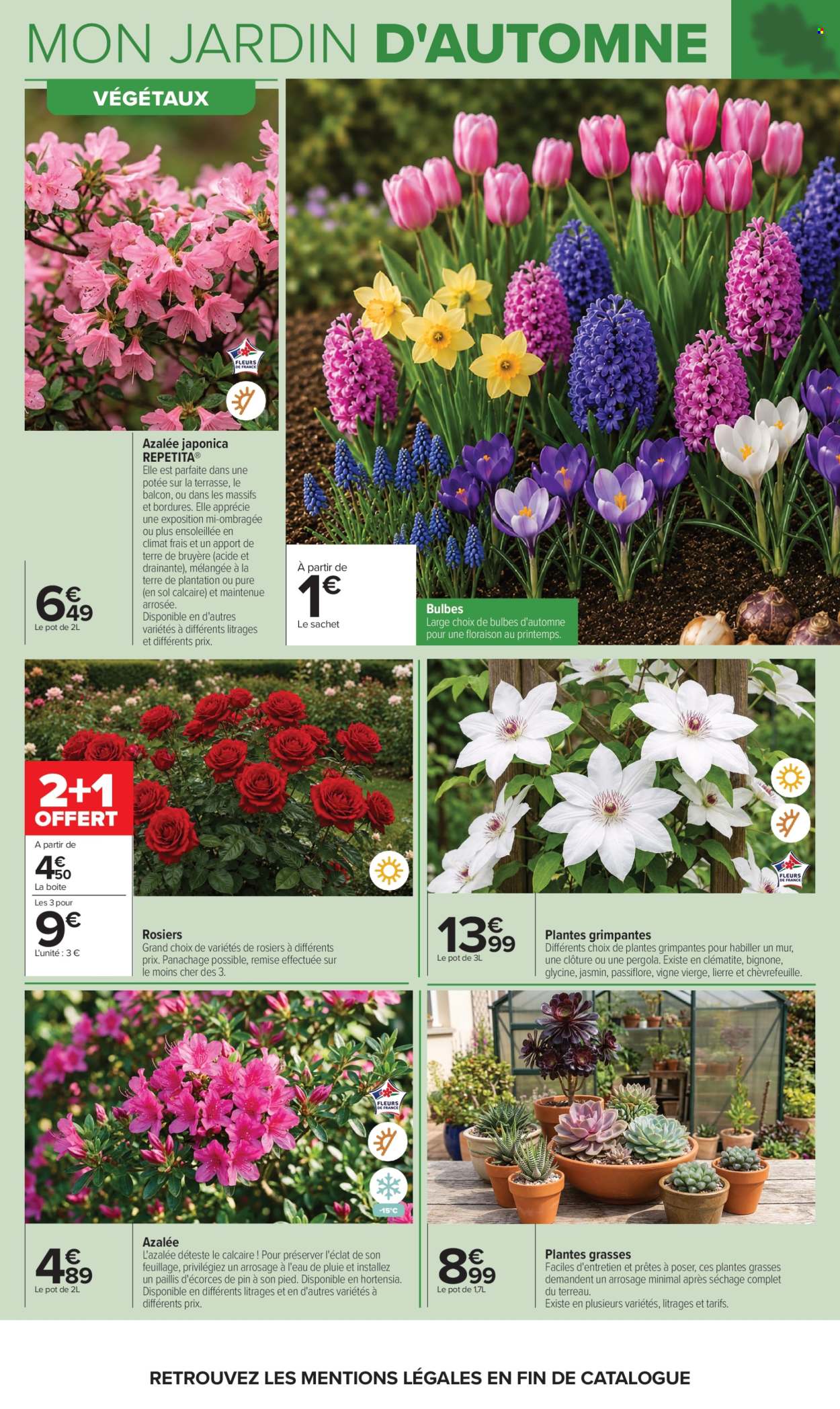 Catalogue Carrefour Hypermarchés - 29.09.2026 - 12.10.2026. Page 4