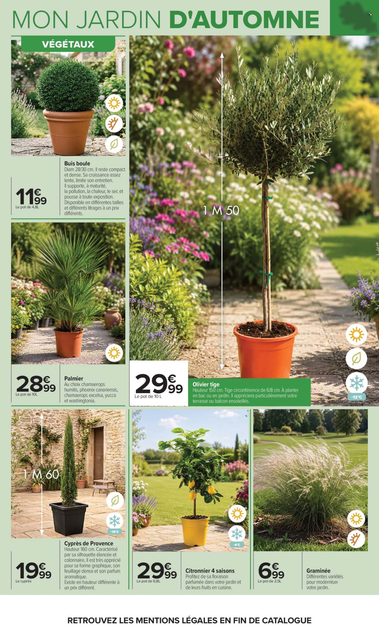 Catalogue Carrefour Hypermarchés - 29.09.2026 - 12.10.2026. Page 5