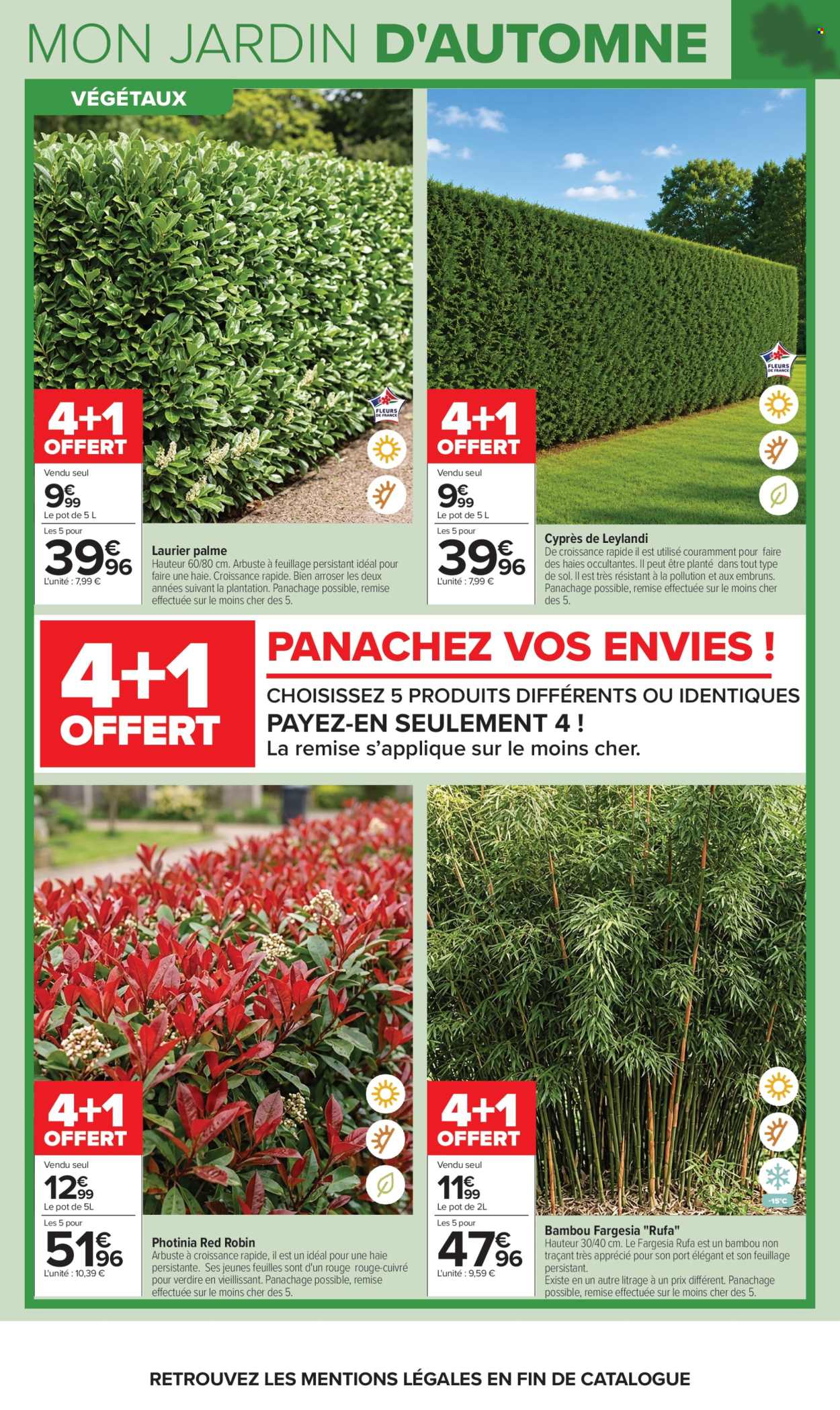 Catalogue Carrefour Hypermarchés - 29.09.2026 - 12.10.2026. Page 6