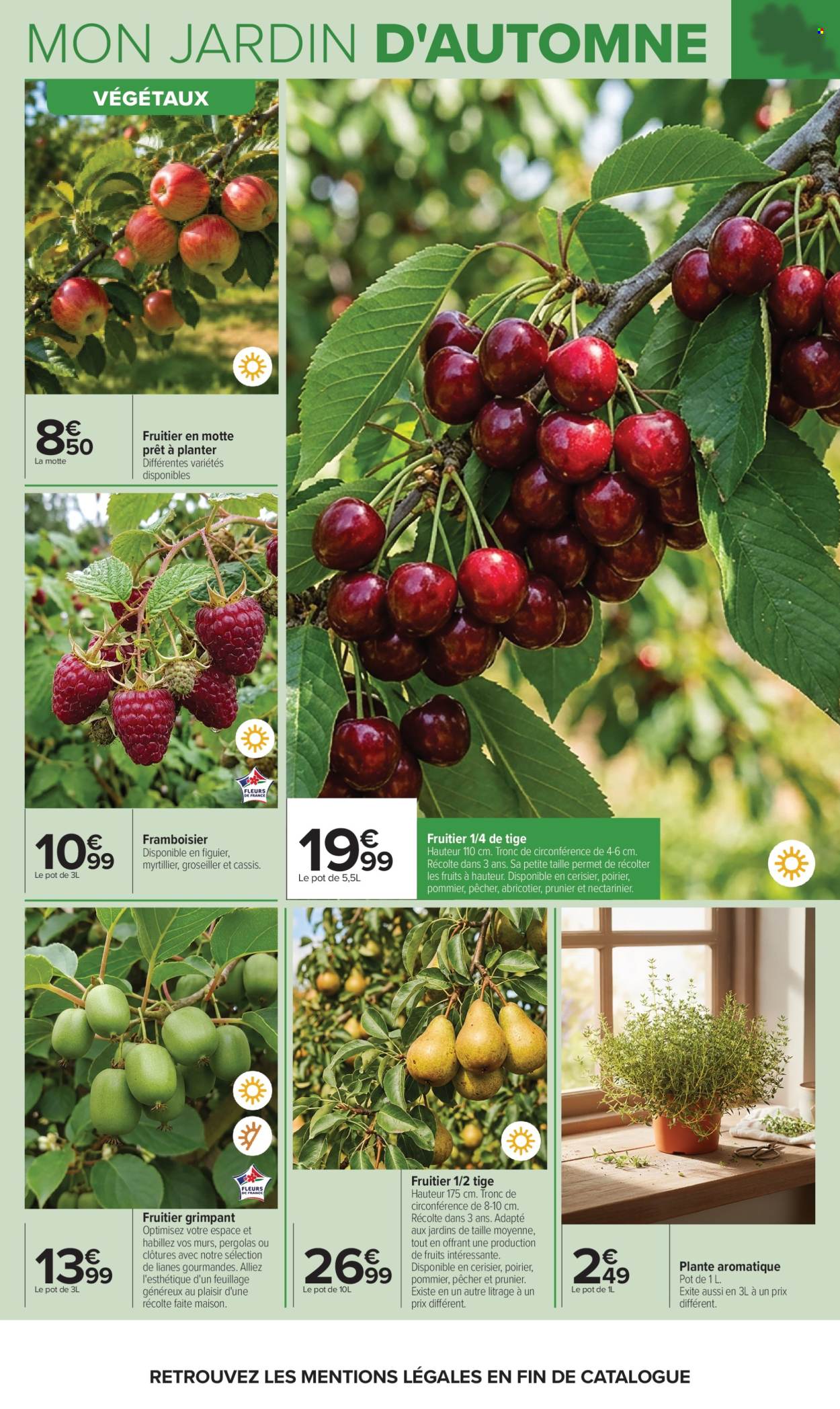 Catalogue Carrefour Hypermarchés - 29.09.2026 - 12.10.2026. Page 7