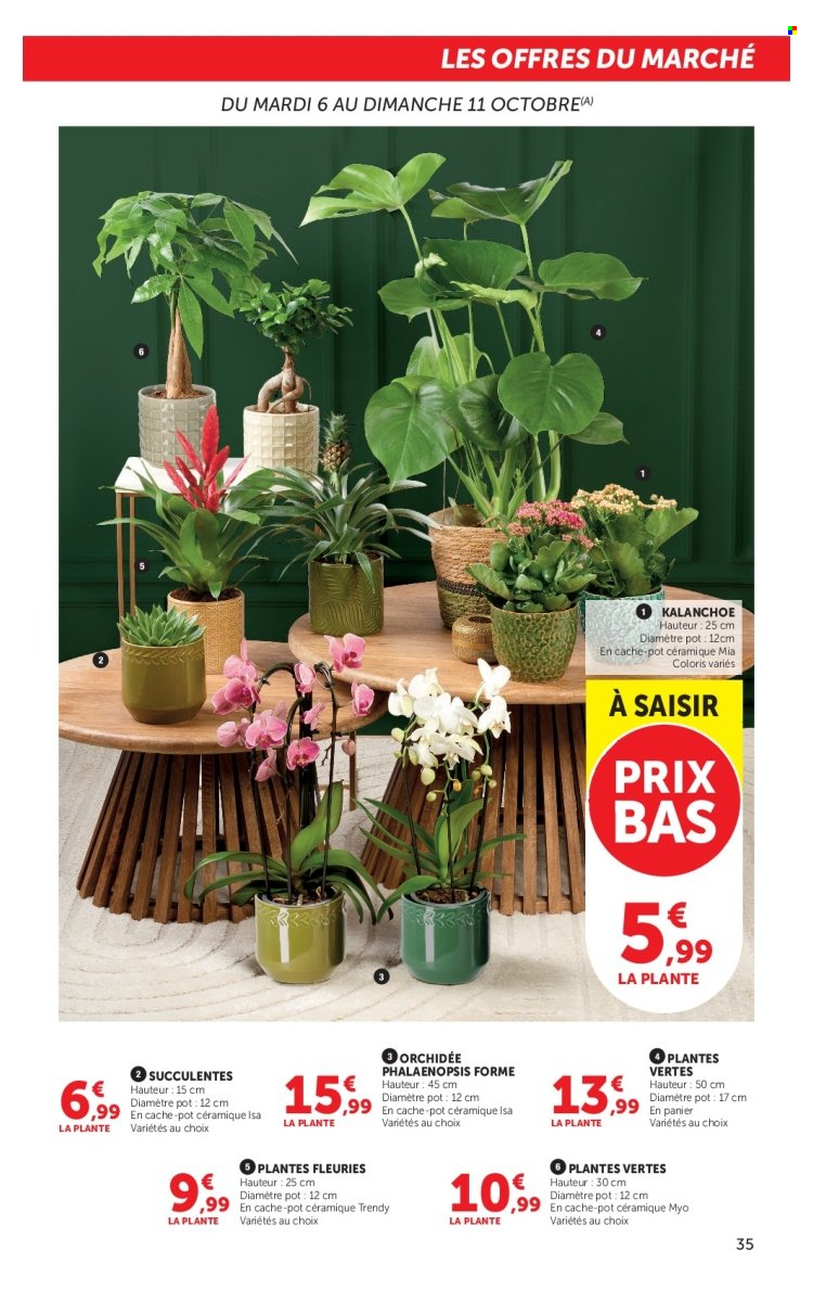 Catalogue HYPER U - 06.10.2026 - 18.10.2026. Page 35