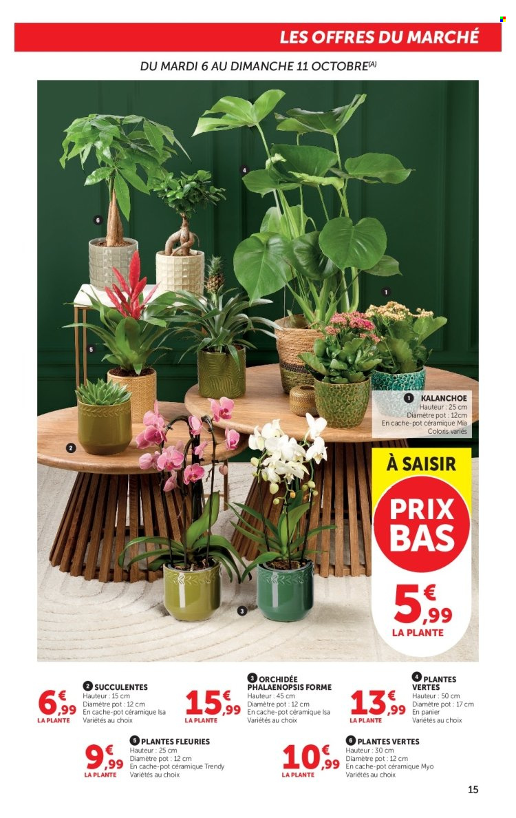 Catalogue SUPER U - 06.10.2026 - 18.10.2026. Page 15